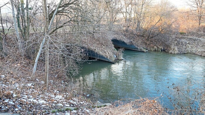 „Unterhalb der Rohre“ fand ein Angler ein Leichenteil.