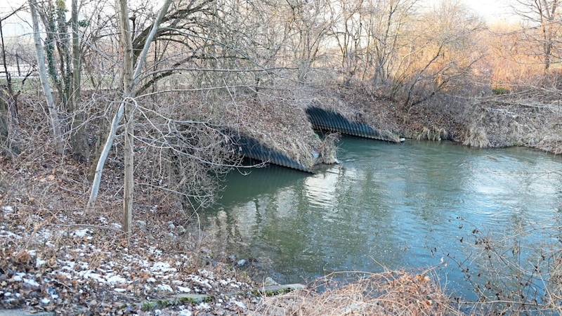 Ein Angler hatte einen Körperteil des Opfers aus dem Marchfeldkanal gefischt. (Bild: klemens groh)