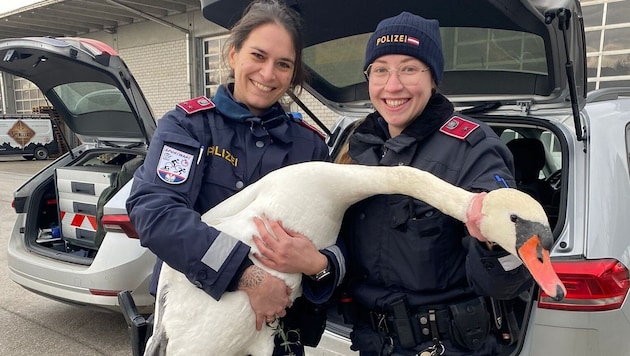 Sabrina N. (links) und Stefanie P. von der Bezirksinspektion Schärding. (Bild: Polizei OÖ)