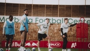 Diambou, Fernando, Terzic und Dedic (v. li.) bei der Arbeit. (Bild: Fabian Weirather - FC Red Bull Salzburg)