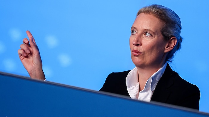 AfD-Chefin Alice Weidel beendete die Zusammenarbeit mit ihrem Referenten.