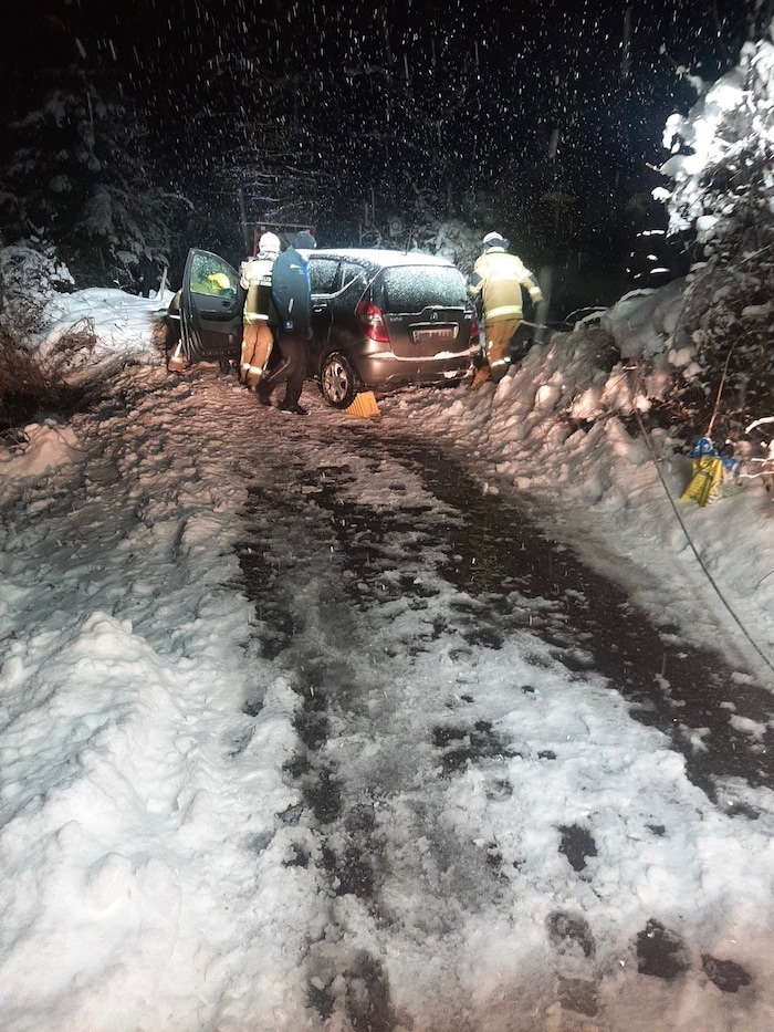 Die Feuerwehr barg das Auto, der Lenker blieb unverletzt.