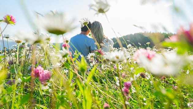 In herausfordernden Zeiten wächst das Bedürfnis der Menschen nach Verbundenheit, Berührung und Halt. (Bild: upslim - stock.adobe.com)