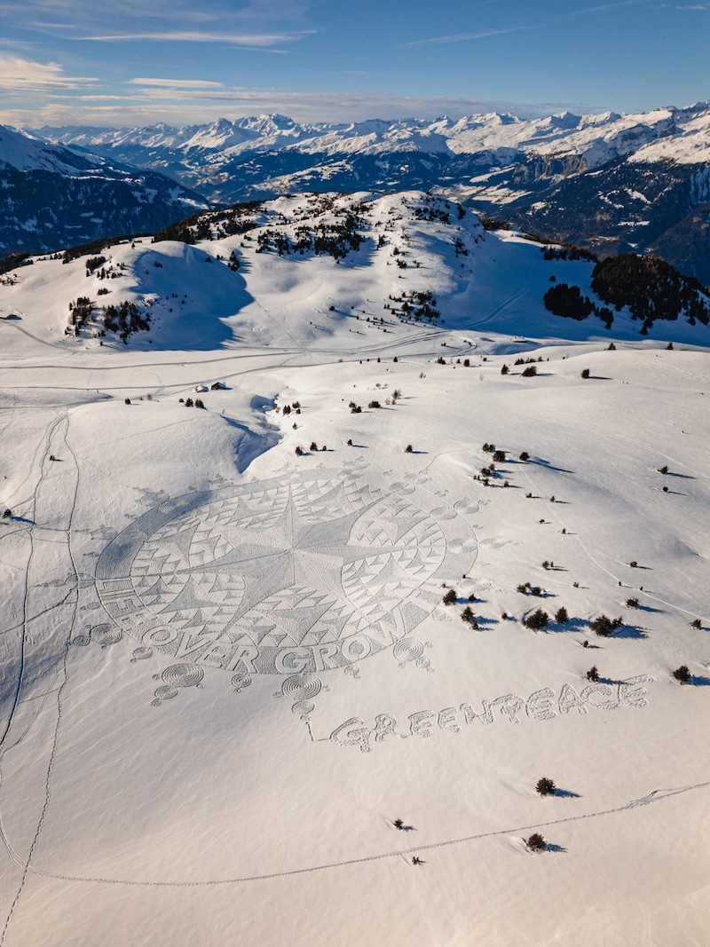 Das Muster soll „das verwobene Leben innerhalb intakter planetarer Grenzen“ symbolisieren. (Bild: Greenpeace/Emanuel Büchler)