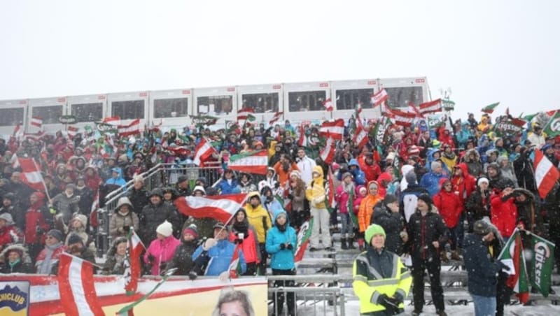 Zu den Weltcuprennen am Semmering werden 20.000 Zuschauer erwartet (Bild: Sepp Pail)