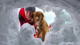 Hunde, die Vermisste unter Lawinen aufspüren, üben das Fliegen am Seil außerhalb des Helikopters. So können sie im Notfall punktgenau abgesetzt werden, wenn es um jede Minute geht. Die drei Monate alte Miley (r.) aus Salzburg steht noch am Anfang ihrer Ausbildung zum Lawinensuchhund. (Bild: Scharinger Daniel)