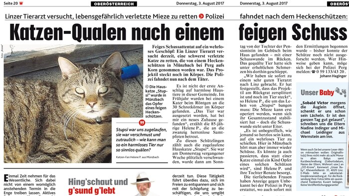 Der „Krone“-Bericht aus dem Jahr 2017.