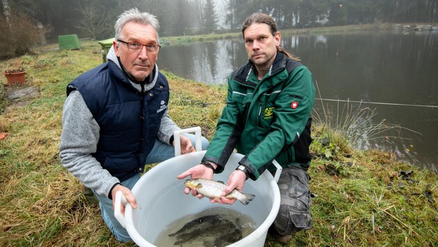 Helmut Preiser (li.) kämpft um das Fischen an der Großen Krems. (Bild: Imre Antal)