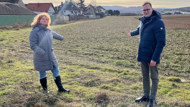 Sabine Hiermann (Grüne) und Oliver Prosenbauer (ÖVP) auf dem betroffenen Feld.   (Bild: zVg)