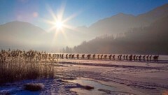 6000 Holländer flitzen über den Weißensee. (Bild: Stefan Valthe)