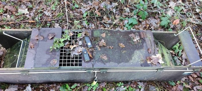 Neben Lebendfallen wie dieser wurde die verhungerte Katze gefunden