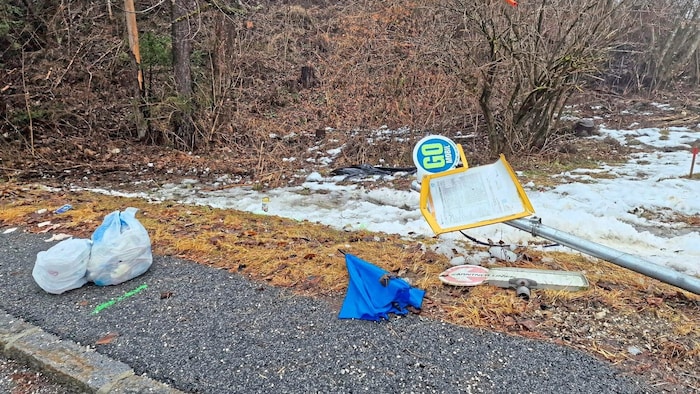 An dieser Stelle rammte der Pkw die Unterkärntnerin.
