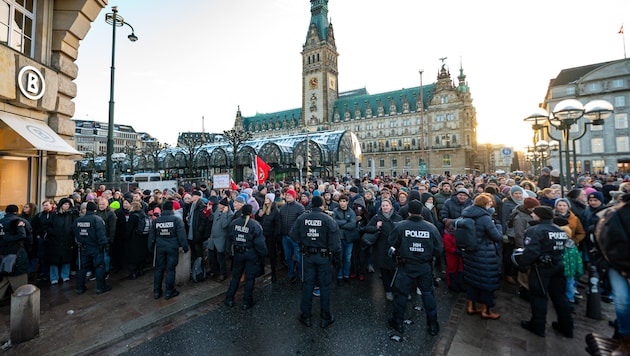 Demonstration gegen Rechtsextremismus in Hamburg (Archivbild) (Bild: APA/dpa/Jonas Walzberg)