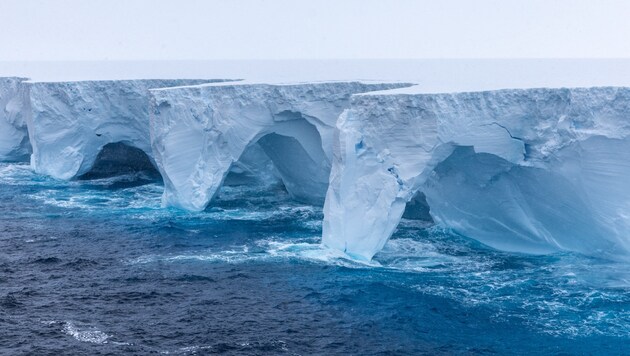 Bogenförmige Einbuchtungen zeigen, wie die Naturkräfte den Eisberg A23a angreifen. (Bild: AFP )