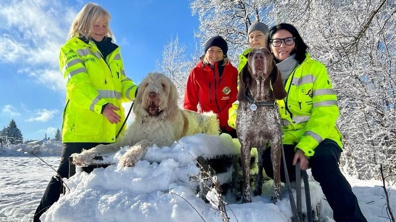 Auch Uli und Campino (links) sowie Gabi und Goja (rechts) gehören zum K9-Pro-Einsatzteam. (Bild: K9-Pro Tiersuche)