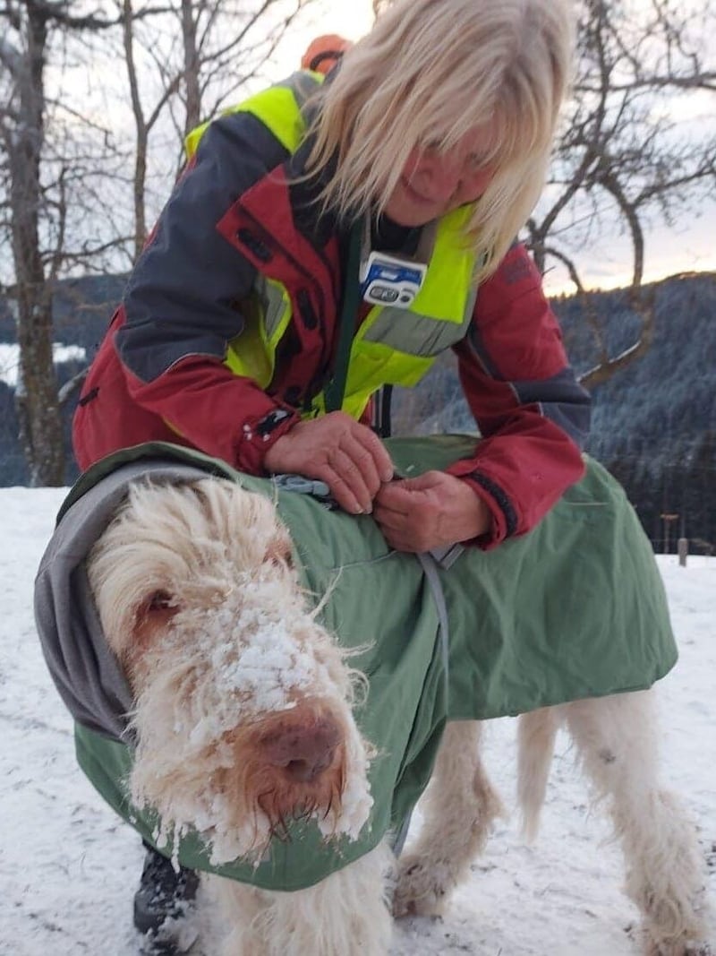 Bei Schnee und Kälte gaben Uli und „Campino“ alles. (Bild: K9-Pro)