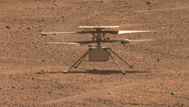 Der Hubschrauer, fotografiert von einer Kamera des Rovers Perseverance (Bild: NASA)