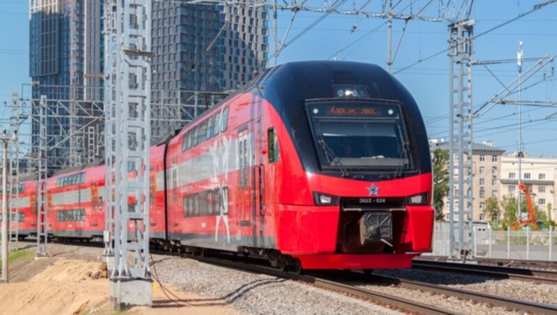 Die russische Bahn will nach dem Vorfall ihre Richtlinien zu Tieren überarbeiten. (Bild: stock.adobe.com/sommersby)