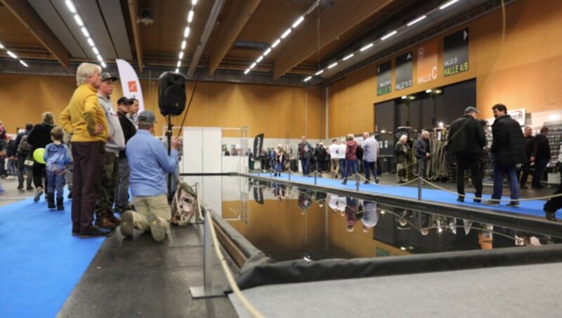 (Bild: Messe Wels_WK Photo)