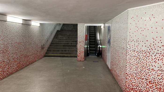 Fast ausschließlich im Bereich der Straßenbahnstation Kliebergasse soll es zu den Taten gekommen ...