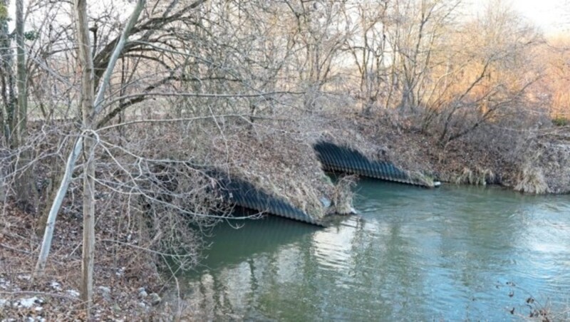 Im Bereich „Unterhalb der Rohre“ im Marchfeldkanal wurden die Leichenteile entdeckt. (Bild: Klemens Groh)