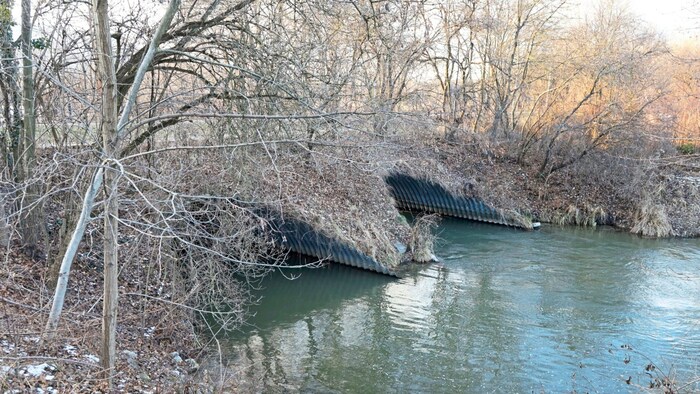 Im Bereich „Unterhalb der Rohre“ im Marchfeldkanal wurden die Leichenteile entdeckt.