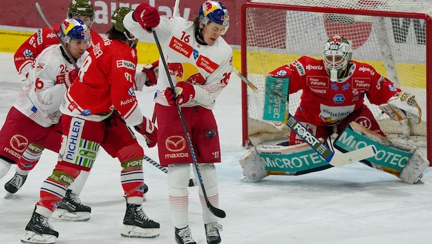 Vor dem Tor ist bei Luca Auer und den Eisbullen nicht viel los. (Bild: GEPA pictures/ Valentina Gallina)