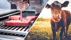 „Klimaretter“ auf der einen, „Bauernkiller“ auf der anderen Seite: Das Thema Laborfleisch polarisiert. (Bild: stock.adobe.com, Krone KREATIV)