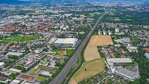 Vier Minuten länger würde die Fahrt mit 60 zwischen Salzburger Straße und Auhof laut Linzplus-Gemeinderat Lorenz Potocnik dauern. (Bild: heimo.pertlwieser@liwest.at)