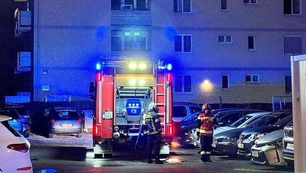 Dank Berufsfeuerwehr und Rotem Kreuz Salzburg wurde der Brand in Salzburg-Liefering schnell gelöscht und sogar die Katze des Wohnungsbesitzers wiederbelebt. (Bild: Markus Tschepp)