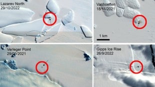 Mithilfe von Satellitenbildern haben britische Forscher in der Antarktis vier bis dato noch unbekannte Kolonien (rot markiert) von Kaiserpinguinen entdeckt. (Bild: BAS/Copernicus, Krone KREATIV)