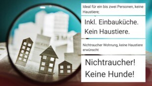 Bei der Wohnungssuche stößt man immer wieder auf einen Satz: „Keine Haustiere erlaubt!“ (Bild: adobestock.com plus Screenshots Willhaben, Krone KREATIV)