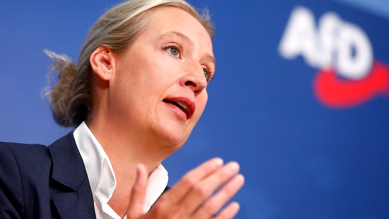 Alice Weidel hätte gerne „andere Kandidaten“ bei der US-Wahl. (Bild: APA/AFP/MICHELE TANTUSSI)