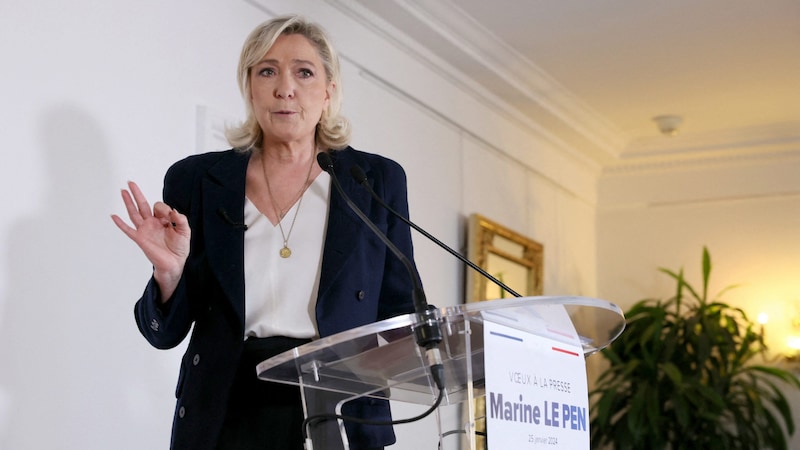 Marine Le Pen, leader of the RN (Bild: APA/AFP/ALAIN JOCARD)