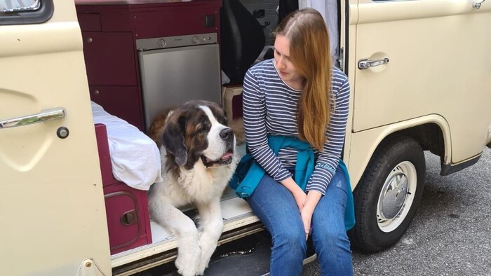 Fiona Lessmann from Vienna searched together with her St. Bernard mix dog.