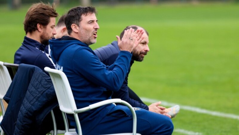 Joachim Standfest und sein Trainerstab sahen eine gute Leistung. (Bild: SCR Altach/Selina Meier)