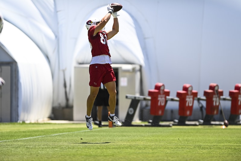 Seikovits im Trainingscamp 2023 (Bild: Arizona Cardinals)