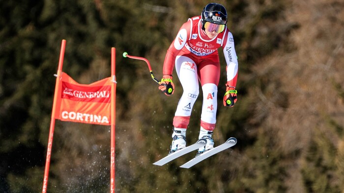 Stephanie Venier