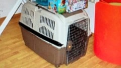 In dieser Hundebox wurde Gerhard - gefesselt und geknebelt - gefangen gehalten. (Bild: zVg)