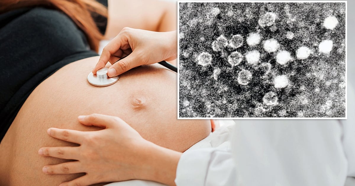 Gefahr für Babys Schweizer Forscher warnen vor ParvovirusEpidemie