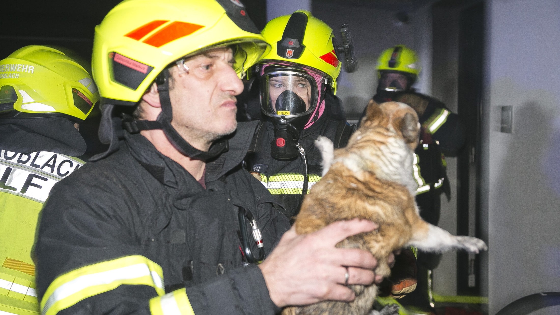 Auch die Hunde der Familie konnten aus dem Haus gerettet werden,