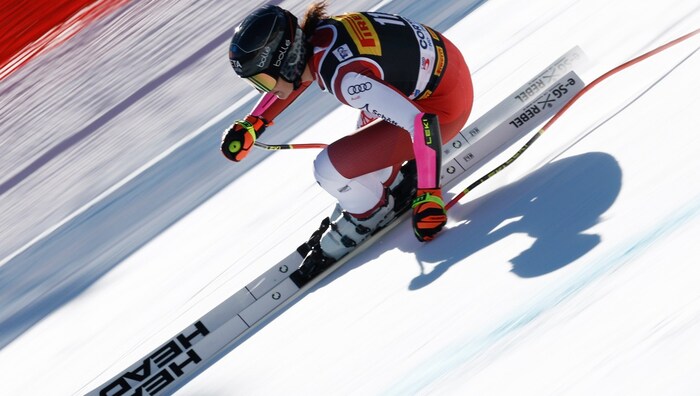 Stephanie Venier