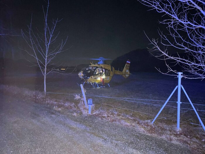 Der Notarzthubschrauber flog die Verletzte nach Wien ins Spital.
