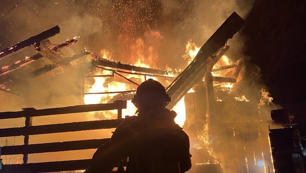 Die Feuerwehr war vier Stunden mit der Bekämpfung der Flammen beschäftigt. (Bild: Stadt Wien | Feuerwehr)