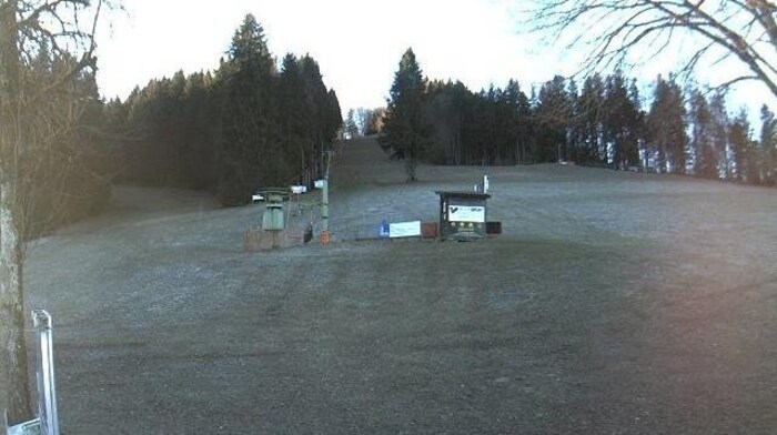 Bei den Wachtbergliften in Weyregg braucht man derzeit Gras-Ski.