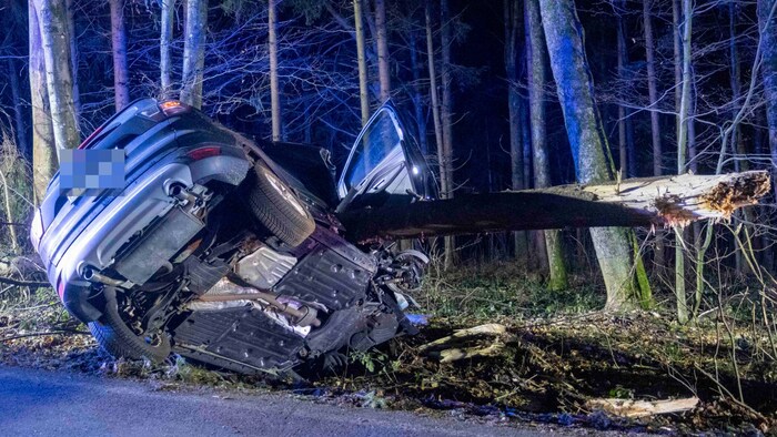 Bei der Beifahrertür ragte der Baumstamm heraus.