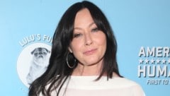 Shannen Doherty forderte von ihrem Ex-MAnn Kurt Iswarienko eine große Summe. (Bild: www.PPS.at)