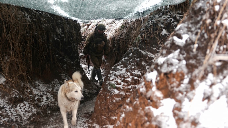 Ein ukrainischer Soldat mit einem Hund (Bild: AFP )