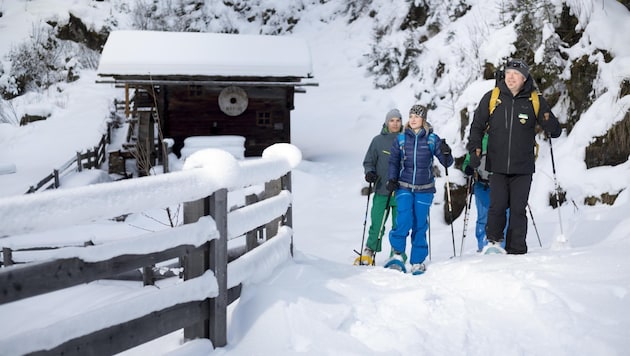 Seit vielen Jahren bietet der NPHT geführte Schneeschuhwanderungen an. Dabei nimmt man Rücksicht auf die Tierwelt. (Bild: Nationalpark Hohe Tauern / Martin Lugger)