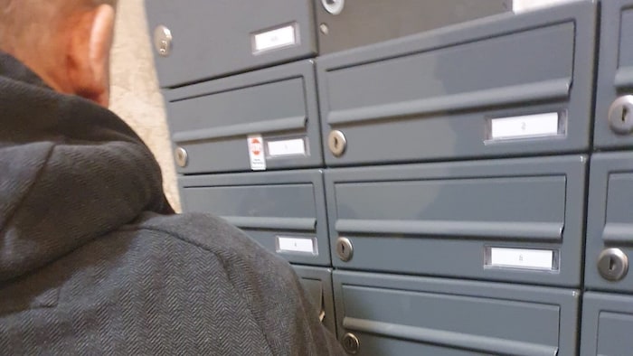The youths are said to have broken into letterboxes in residential buildings a total of 92 ...
